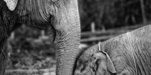 delavnice predavanja za podjetja